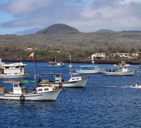 Fishing boats Galapagos. Photo by Barrett Walker